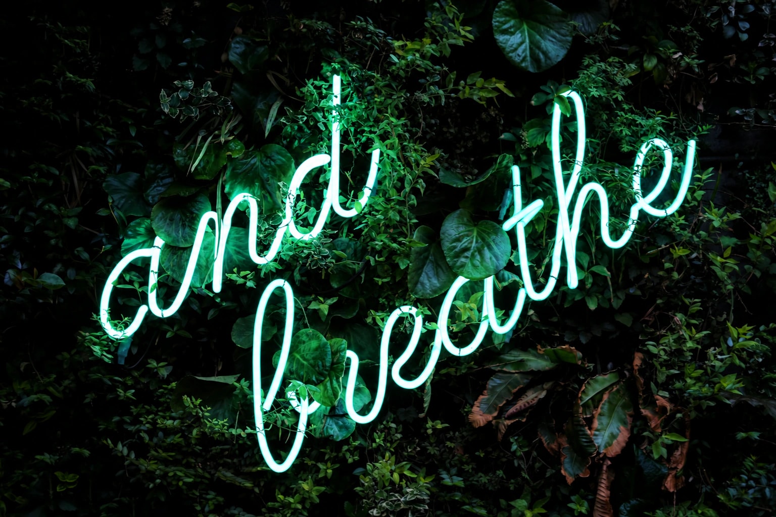 A bright mint neon sign reading and breathe among dark green leaves